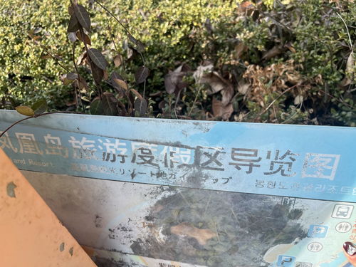 記者在現(xiàn)場 導覽裝置無人維護 市民呼吁加強管理