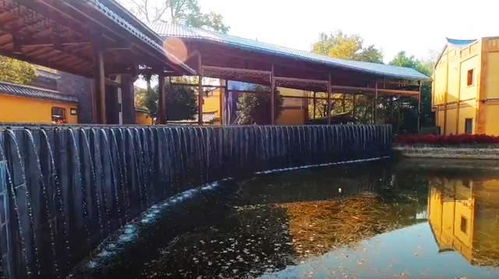 游覽武漢黃陂大山里一座花鄉(xiāng)景區(qū) 遍布古樸建筑,宛若江南庭院