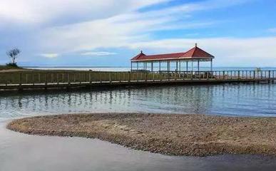 青海湖鳥島景區和沙島景區對外停止開放