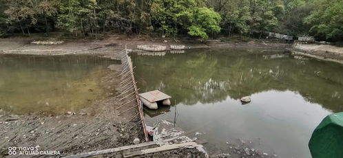 景區(qū)開(kāi)展流徽湖 流杯渠 竹海湖等水系清淤治理工程