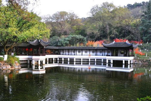 蘇州亭林園免費啦 附預約攻略