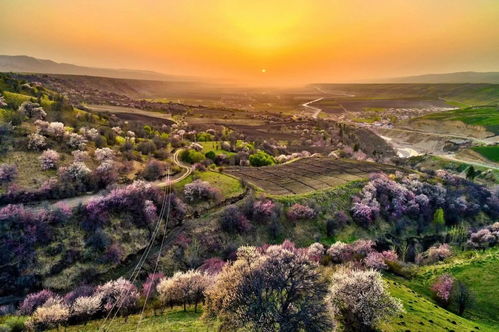 中國(guó)旅游集團(tuán)打造 興疆 之旅