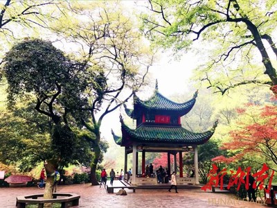 8月25日起,岳麓山景區(qū)東門路段整修觀光路線調整