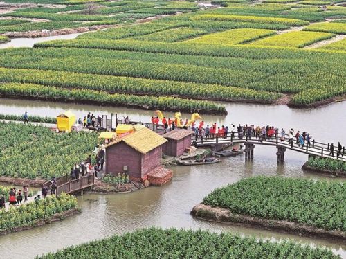 中國文明網聯(lián)盟 泰州站