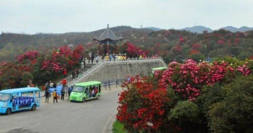 畢節市百里杜鵑管理區入圍第四批全國旅游標準化試點單位