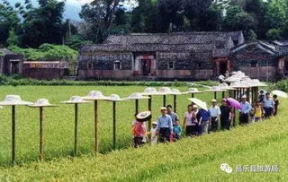 開發(fā)鄉(xiāng)村旅游,應關(guān)注這四類產(chǎn)品