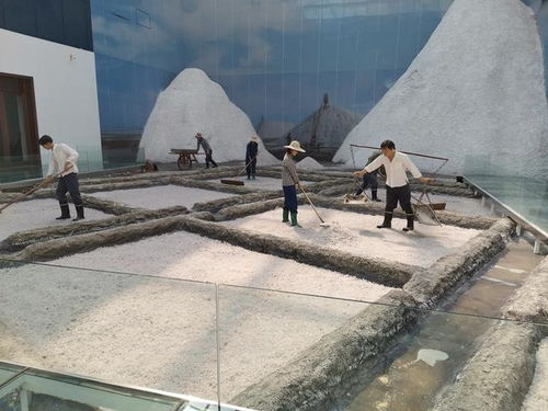 好客山東 百團山東行——濱州無棣站活動啟動，園區(qū)管理服務協(xié)同助力