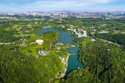 草地露營(yíng)、國(guó)潮音樂節(jié)、少兒音樂匯 南京珍珠泉度假區(qū)假期精彩紛呈，盡顯卓越園區(qū)管理服務(wù)