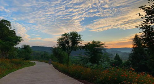 從桃花源到悠然島 園區(qū)管理服務(wù)的詩意進化